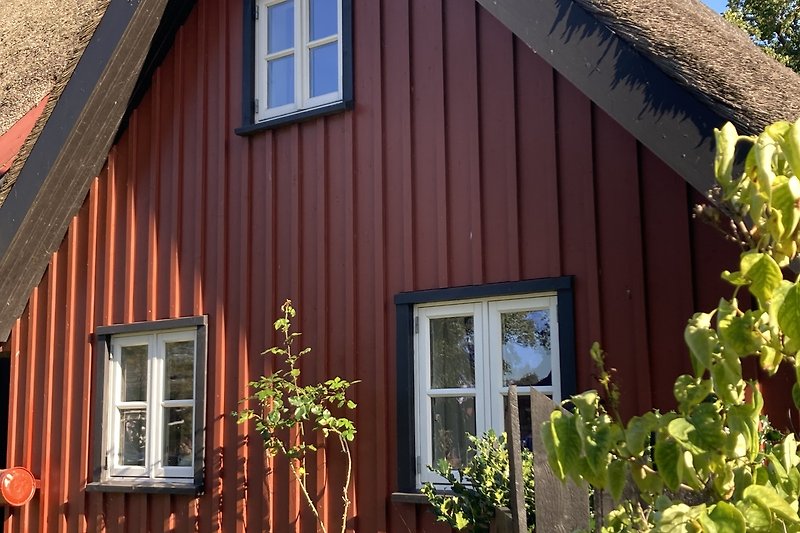 Gemütliches Ferienhaus mit gelber Fassade, Holzfenstern und grünen Pflanzen.