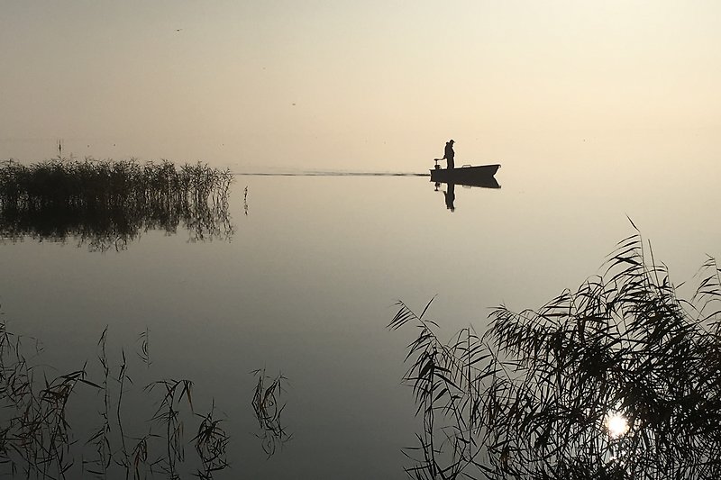Ruhe und Natur, Angler früh morgens auf dem Bodden