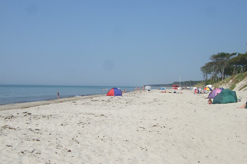 Ostsee, Sommer, Sonne, Strand