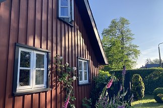 Port Katen Born/Darß