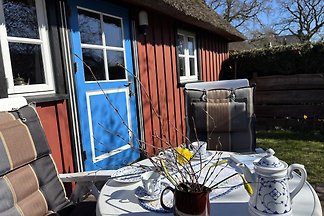 Auszeit in Born