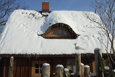 Lütt Hus