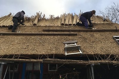 Stuerbord huisjes