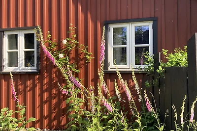 Backbord Katen