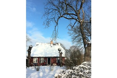 Fischerhus