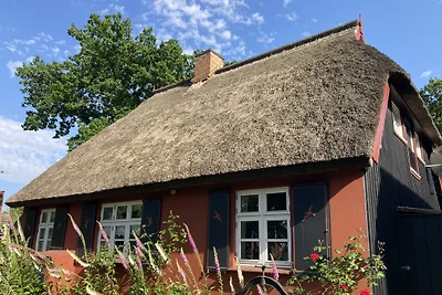 Fischerhus