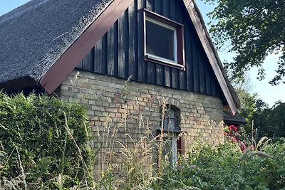 Stuerbord Katen