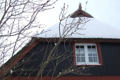 Fischerhus