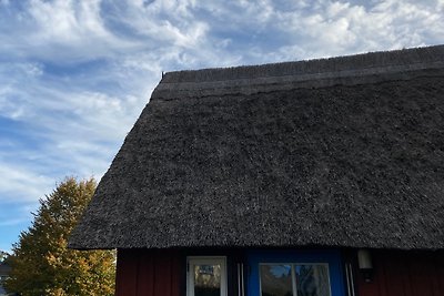 Backbord Katen