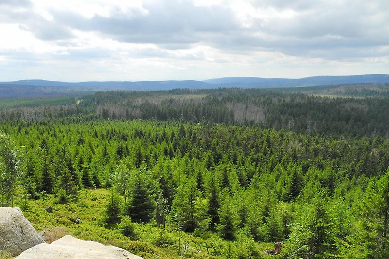 Nationaal Park Harz