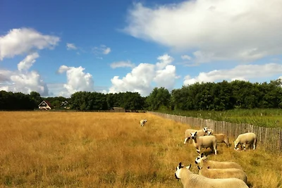 Koetshuis