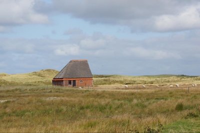 Koetshuis, Stulpje