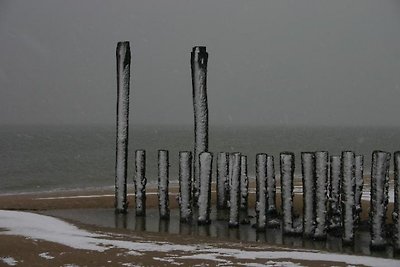 Apartment 't Schuitvlot Domburg