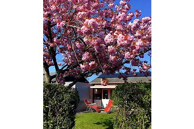 Bungalow Park Boerenslag 20