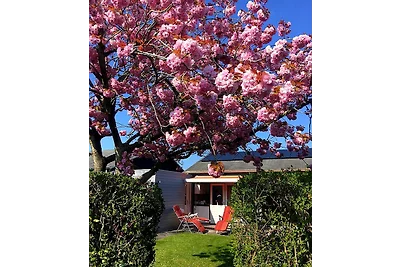 Bungalowpark Boerenslag 20