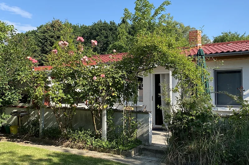 Großer Garten mit blühenden Geranien, schattigen Büschen und Terrasse.