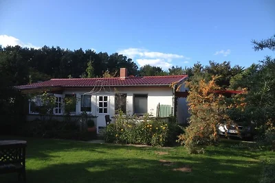 Ferienhaus Ahrenshoop