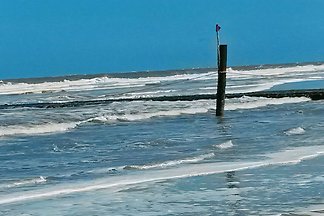 Strandkorb-Norddeich