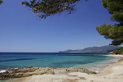 Am Meer Ökologisch verantwortungsbe