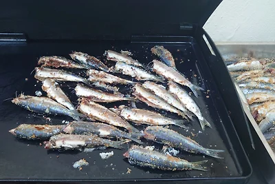 Lanomade I sulla Costa Azzurra