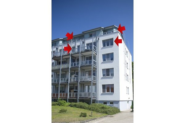 Appartement à Zinnowitz - Image 1 Appartement à Zinnowitz - Image 1