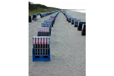 Residenz Sanssouci Zinnowitz W9SSK