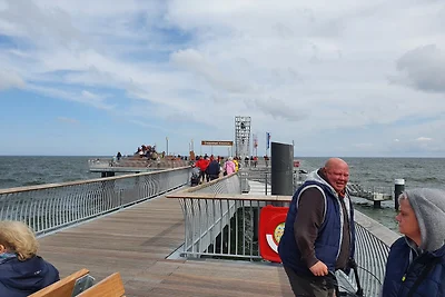 Wald u. Meer Zimmer klein neu Z10KC