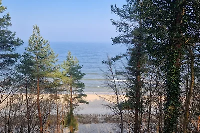 Wald und Meer großes neues Zimmer