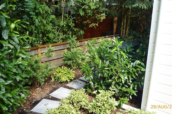 Valouwe P11-Beekbergen-Apeldoorn in Beekbergen - Frau J. van Noort