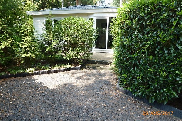 Valouwe P11-Beekbergen-Apeldoorn in Beekbergen - Frau J. van Noort