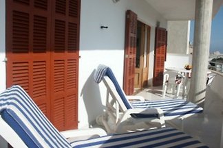 Mallorca Appartement Louisa