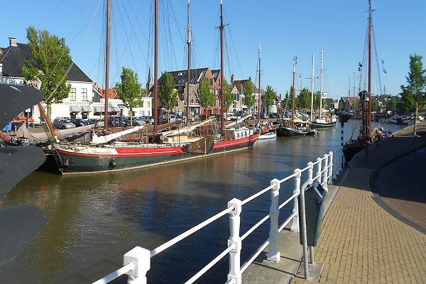Ferienhaus Harlingen
