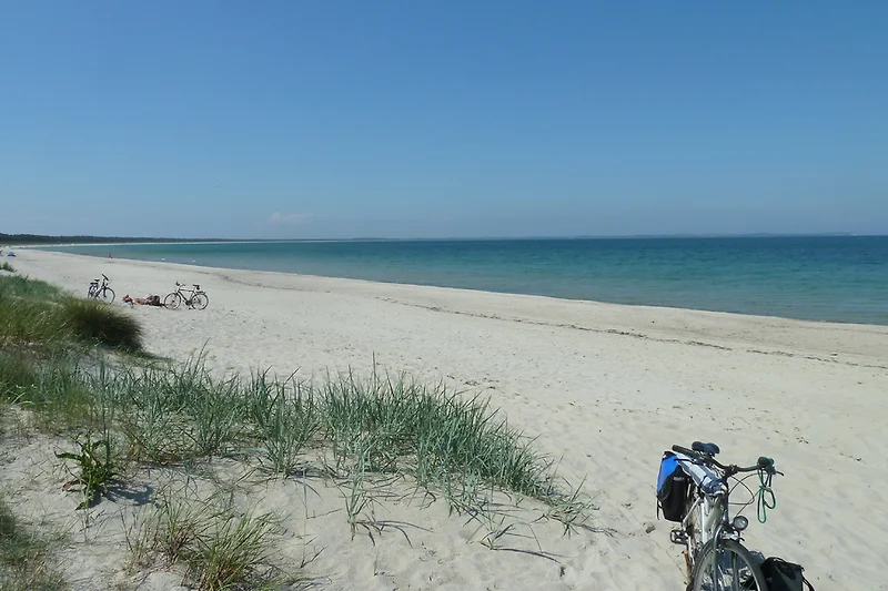 Der Strand 