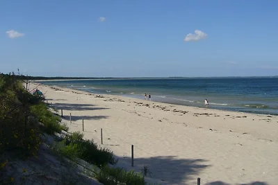 Appartements mit Ostseeblick