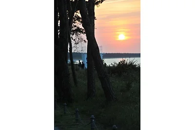 Appartements mit Ostseeblick