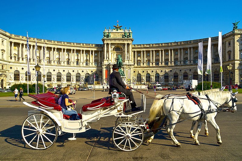 Fiaker vor der Hofburg in Wien
