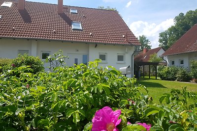 RÜGEN Bungalow