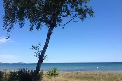 EG Ferienwohnung Rügen 