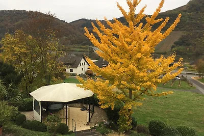 Ferienwohnung "MOSELBLICK" SCHOLTES