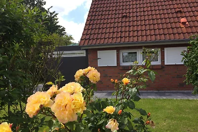 Friesenhaus Ringelgans