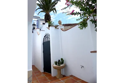 Caballito de Mar (Seepferdchen)