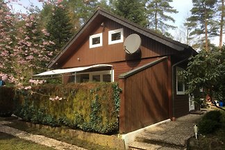 Das kleine Waldhaus