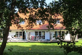 Hus Hiddensee, Vitte