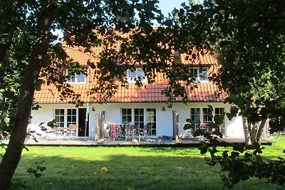 Hus Hiddensee 1, Vitte