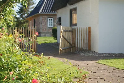 Domek letniskowy Urlop wypoczynkowy Rabenholz