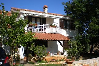 Apartament Apartment Eva