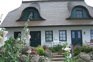 Luxus-Ferienhaus-am-Meer 2-8 Pers.