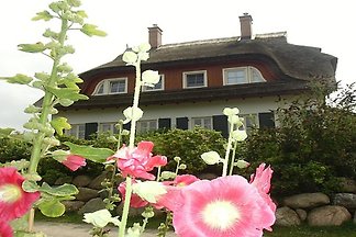 Luxus-Landhaus-am-Meer 2-9 Personen