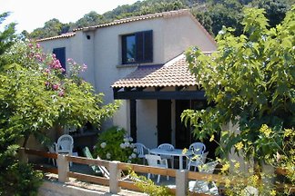 Ferienhaus auf Korsika COR2002