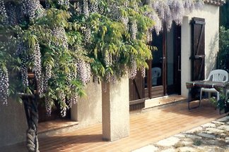 Ferienhaus SE3401